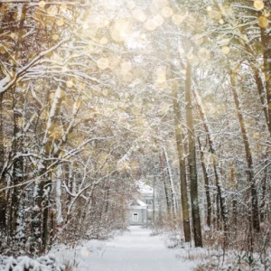 winter solstice