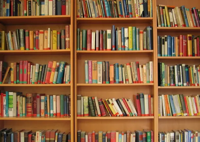 international literacy