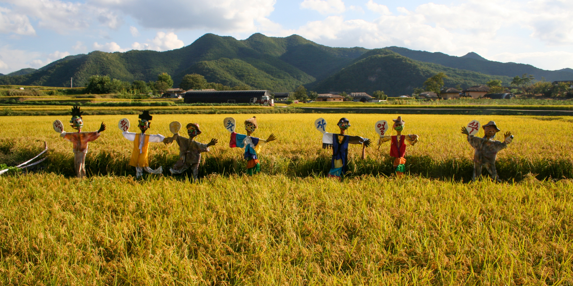 Chuseok as a Harvest Festival